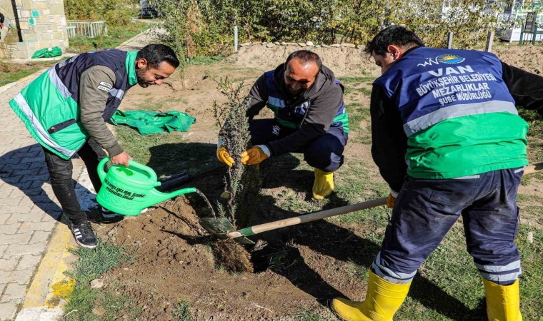 Vandaki 13 mezarlık alanına 3 bin 400 ağacın dikimine başlandı