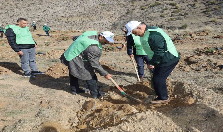 Yahyalıda binlerce fidan toprakla buluştu