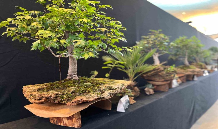 Yalovada, 3. Uluslararası Bonsai Sempozyumu