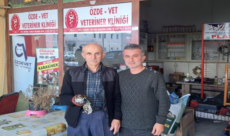 Yaralı bulduğu şahini tedavi ettirdi