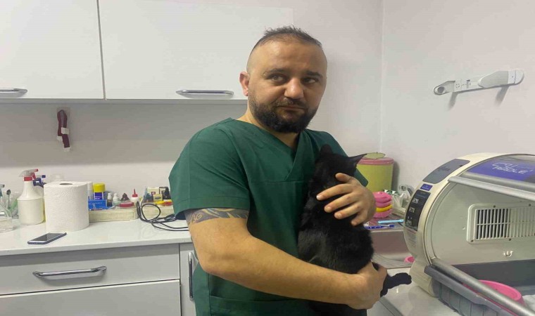 Zonguldakta 6. kattan düşen kedinin kaval kemiği kırıldı