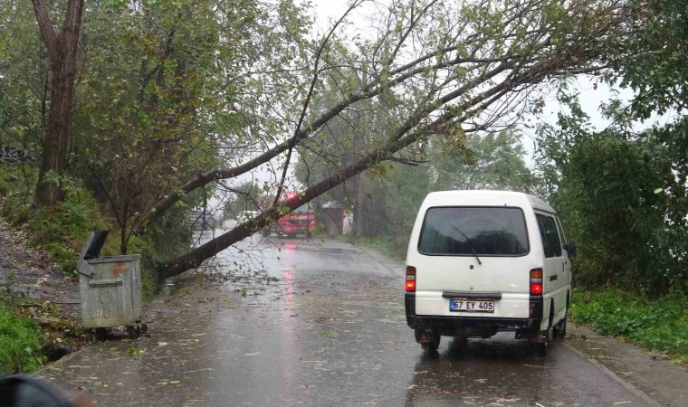 Zonguldakta fırtına ve yağmur hayatı olumsuz etkiledi