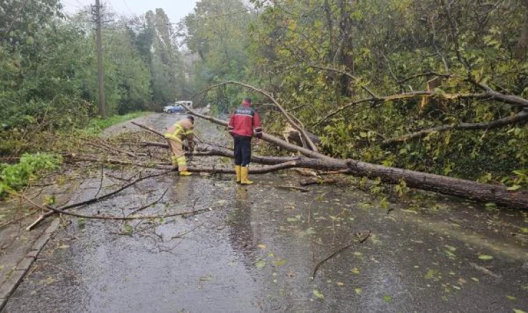 Zonguldak’ta sağanak ve fırtına; ağaçlar devrildi, 5 metre dalga oluştu