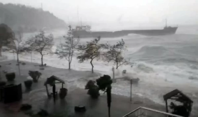 Zonguldak’ta sağanak ve fırtına; ağaçlar devrildi, gemi karaya oturdu (2)