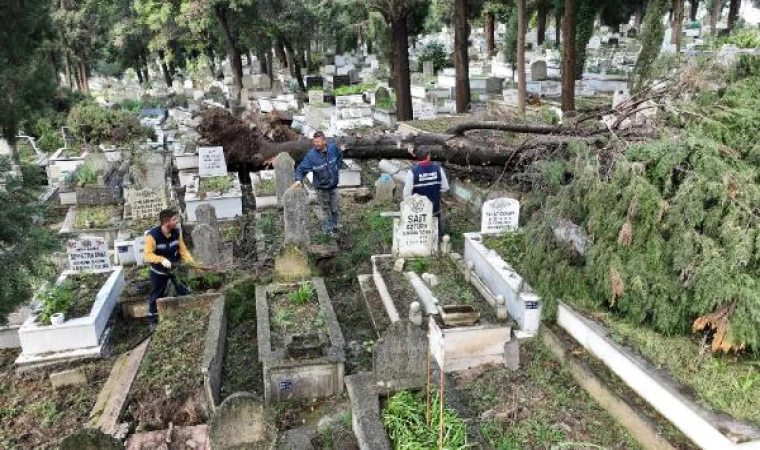 Zonguldak’taki fırtınada devrilen ağaçlar nedeniyle 300 mezar hasar gördü