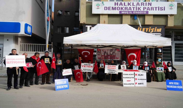 Acılı anne Necibe Çiftçi: HDP ve PKK bir oğlumu dağa kaçırdı, bir oğlumu ise infaz etti