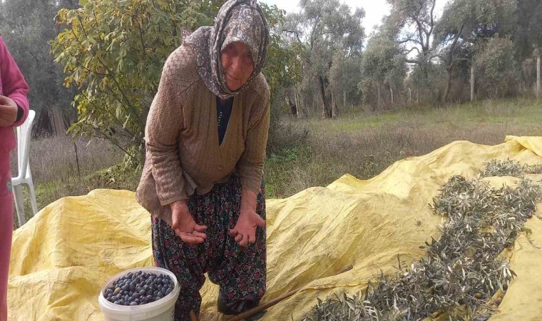 Adı üstünde eski toprak