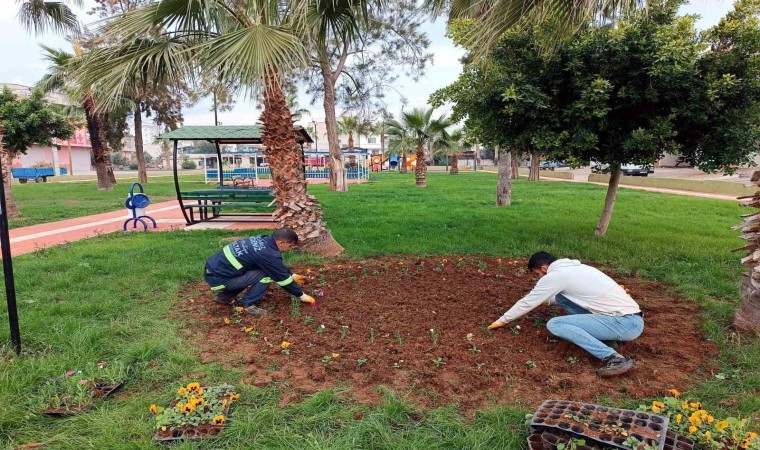 Akdenizde park, bahçe ve yeşil alanlar çiçekleniyor