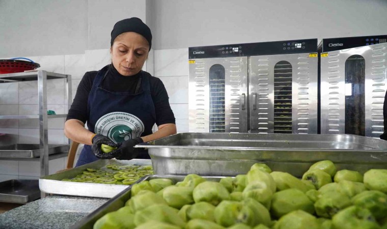 Altınovanın kadınları üretimle güçleniyor