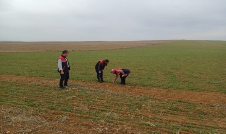 Arazi denetimleri ve çiftçi bilgilendirme toplantıları yapıldı