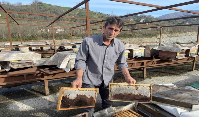 Arılarının Kafkas arısı olduğunu ispatladı şimdi de zararının ödenmesi için mücadele ediyor