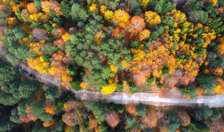 Artvinin Karagöllerine ziyaretçi akını