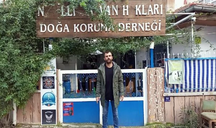 Aydın’da zehirlenen köpek sayısı 9’a çıktı