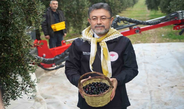 Bakan Yumaklı açıkladı: Zeytinyağı sıkıntımız yok