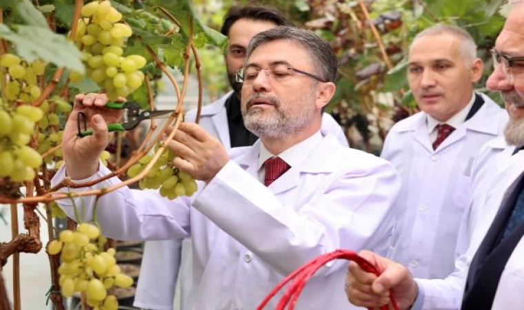 Bakan Yumaklı: Zeytin üzerinden yapılan spekülasyonlara itibar etmeyin (2)