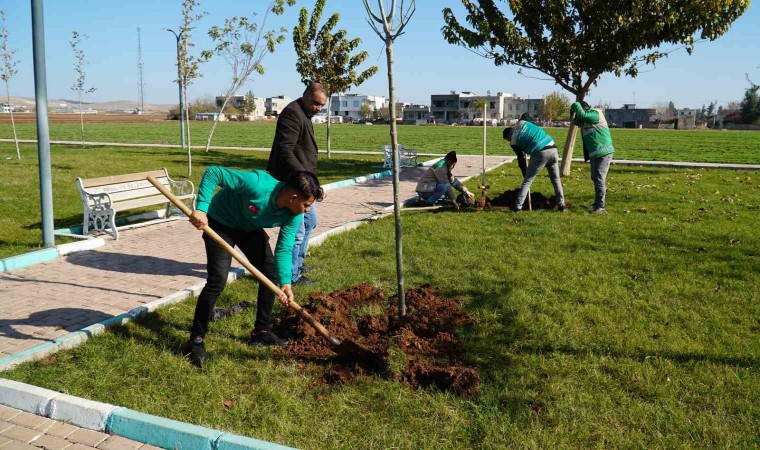 Başkan Canpolat ile Haliliye Belediyesi üretime devam ediyor