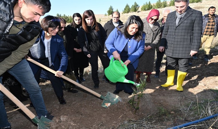 Batmanda Gazzeli şehitler anısına yüzlerce fidan toprakla buluşturuldu