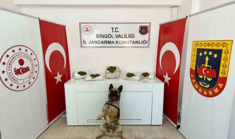 Bingölde toprağa gömülü 13 kilo uyuşturucu ele geçirildi