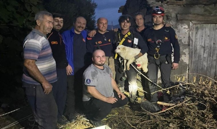 Bir aydır kayıp olan köpek kuyuda bulundu