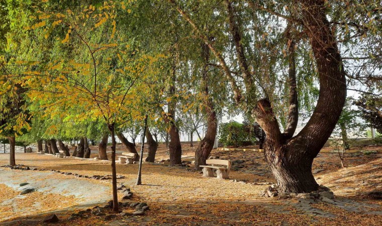 ‘Borda Sonbahar temalı fotoğraf yarışması sonuçlandı