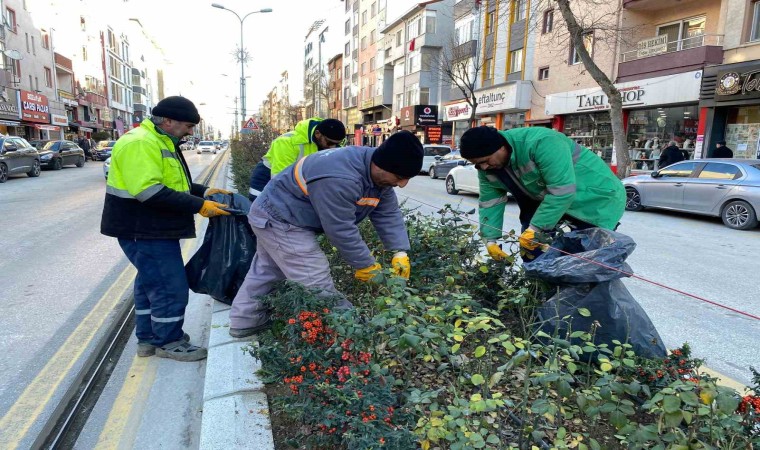 Bozüyükte park bahçelerde bakım ve temizlik çalışmaları sürüyor