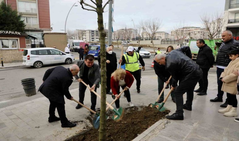 Büyükçekmecede 2024 yılına 24 mahallede ağaç dikerek girildi