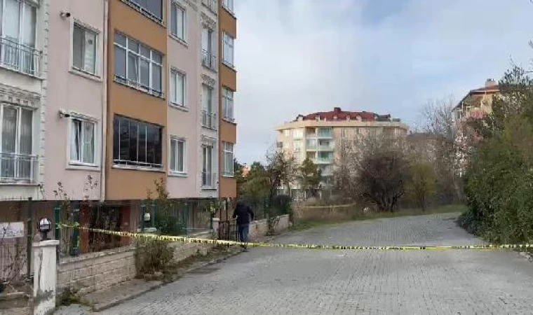 Büyükçekmece’de bir binanın önünde el bombası bulundu - 1