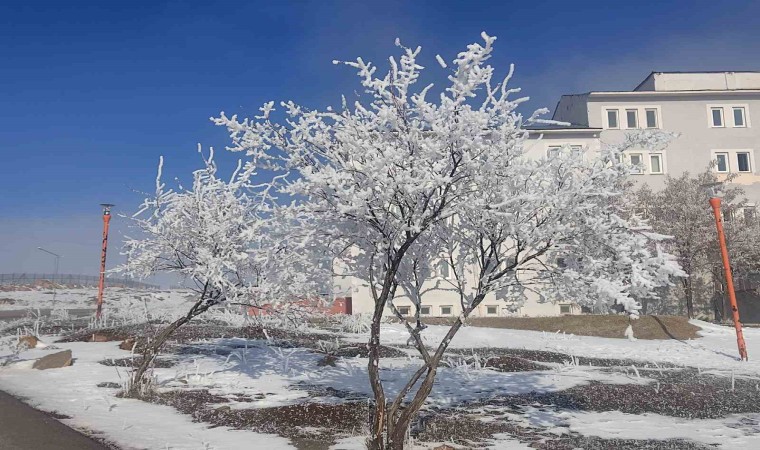 Çaldıran buz kesti