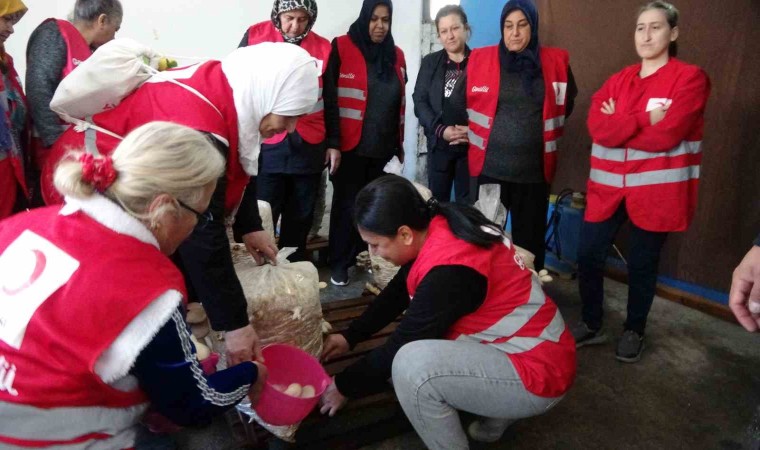 Dezavantajlı kadınlar istiridye mantarı üreterek kazanıyor