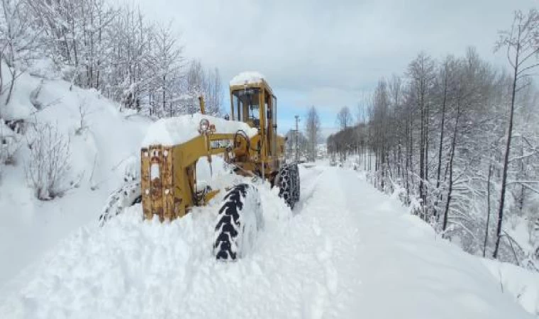 Doğu Karadeniz’de kar; 367 köy yolu kapandı