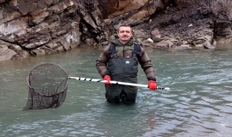 Dr. Akkuş: Kırmızı benekli alabalık bitme noktasında