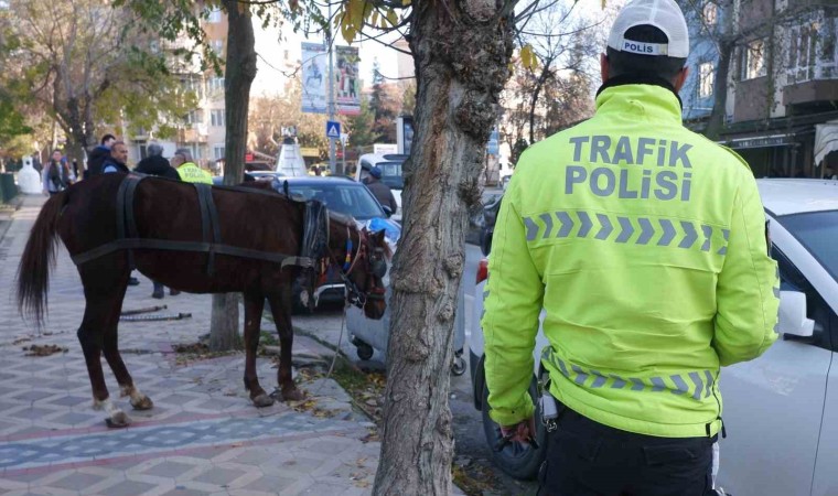 Edirnede ilginç olay: Başıboş at 5 araca hasar verdi