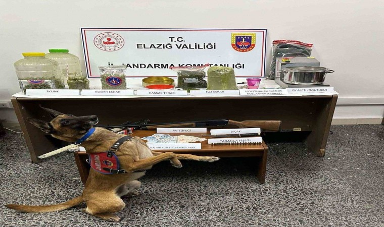 Elazığda uyuşturucu tacirlerine operasyon: 1 tutuklama