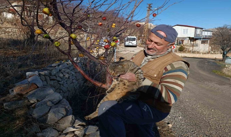 Emekli asker yaban hayvanları için doğaya yem bırakıyor