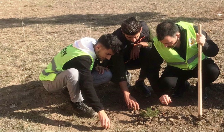 Emet MYOda fidan dikim etkinliği