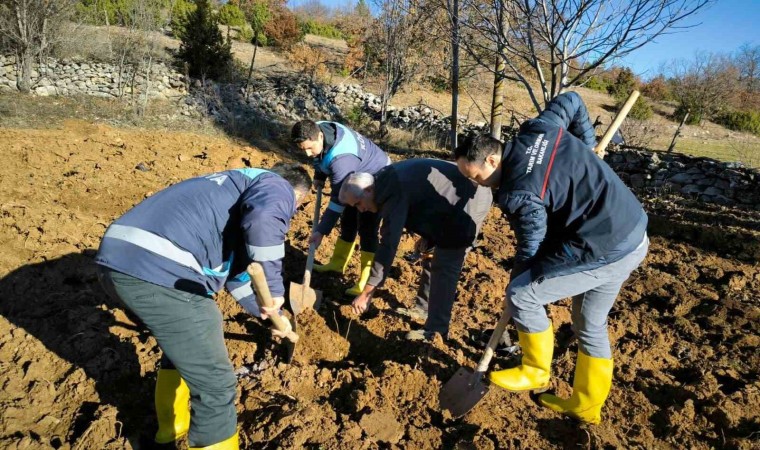 Emette ceviz fidanlarının dikimi ile demonstrasyon bahçesi kuruldu