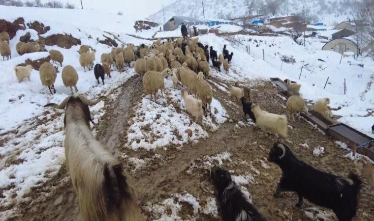 Erzincanın köylerinde kış mesaisi başladı