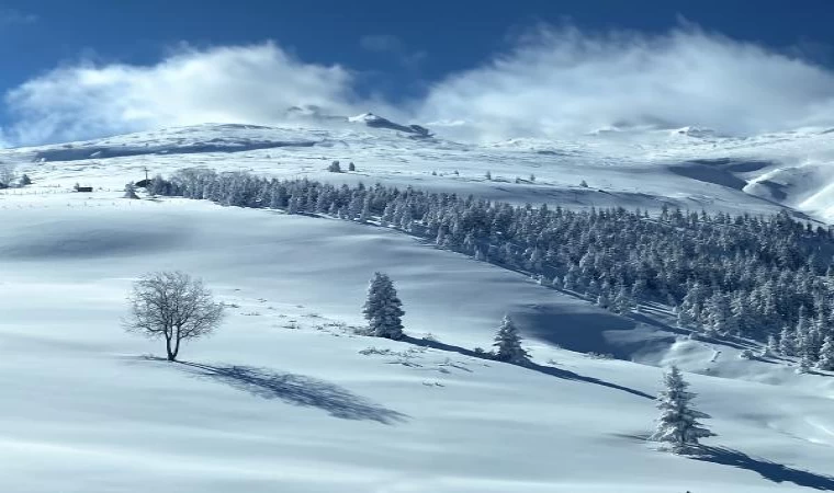 Fotoğraflarla ‘Dünyanın Seyahat Rotaları’ ödüllendirildi 