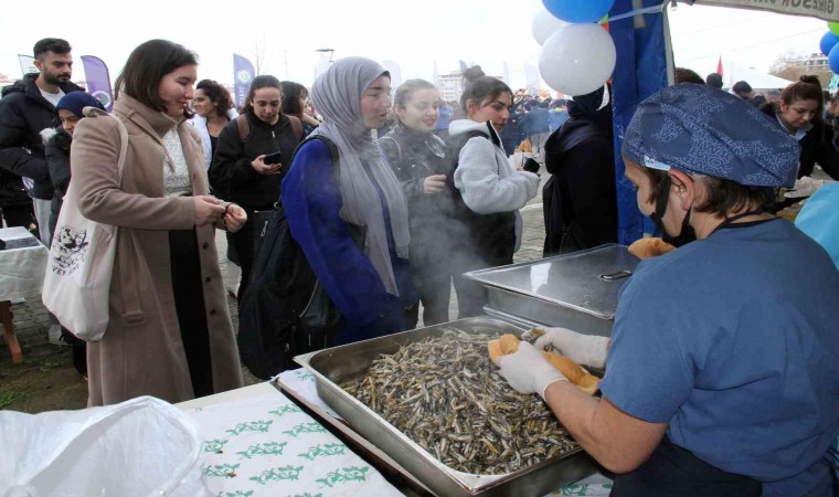 Giresun Üniversitesinde hamsi şöleninde 1 ton hamsi tüketildi