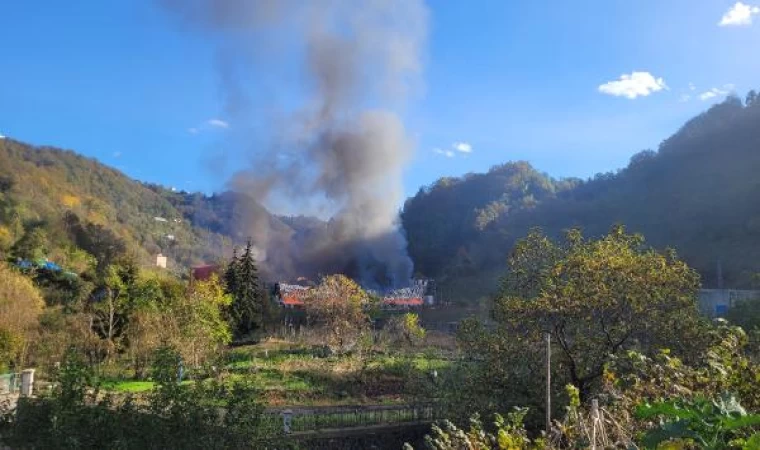 Giresun’da fabrikada yangın (2)