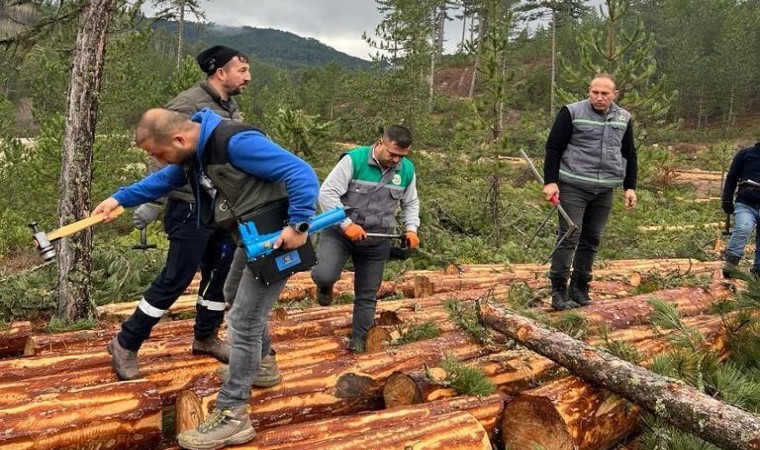 Hisarcıkta ormandaki ağaçlara barkod uygulaması