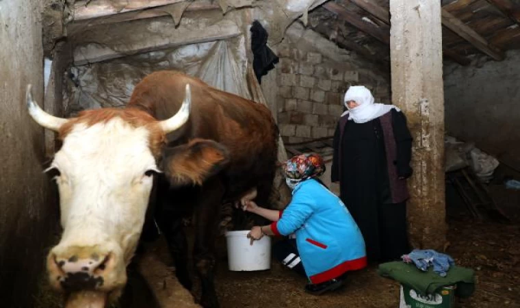 İneklerini sağamayan çifte, Vefa ekibinden yardım