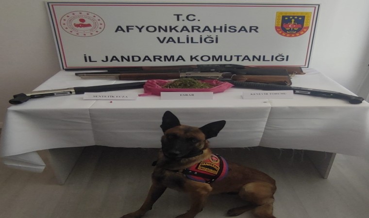 Jandarma baskın yaptığı evde 155 gram esrar ve 2 ruhsatsız av tüfeği ele geçirdi