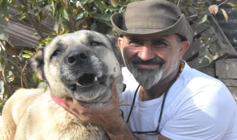  Kangal köpekleri dünyada safkan ırk olarak kabul görmüyor; gen haritasının çıkarılması gerek