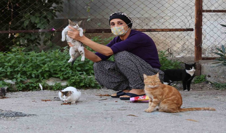 Kanser hastası kadın hayata hayvanlarla tutunuyor