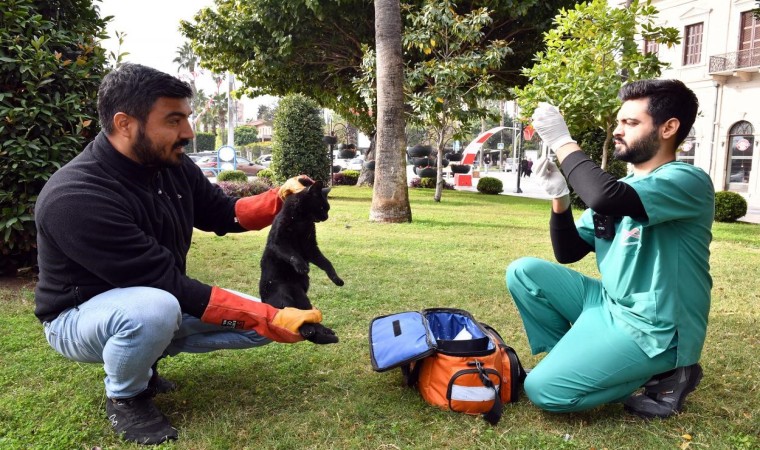 Kaşlı Bakımevi binlerce Can Dostun yaşamına dokundu