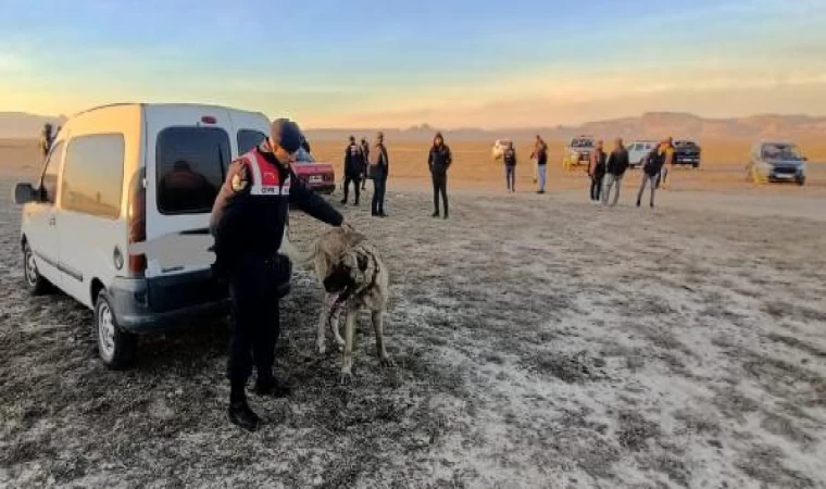 Kayseri’de bahisle köpek dövüştüren 37 kişiye 150 bin TL ceza