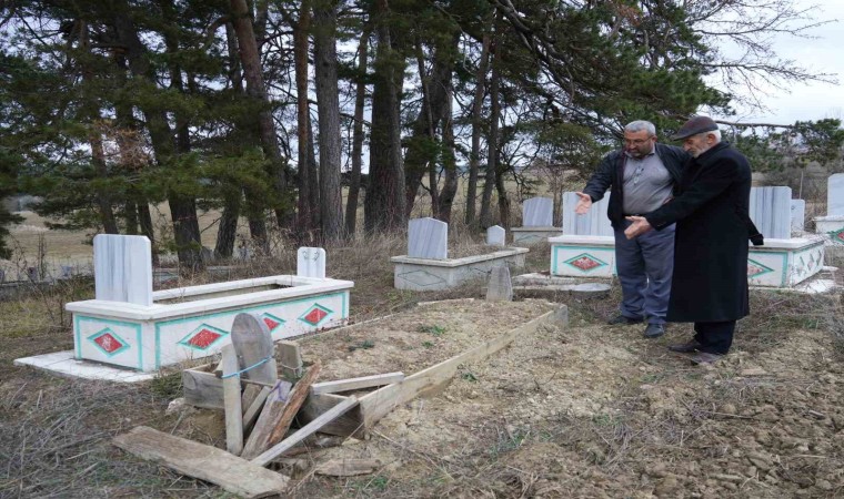 Kış uykusuna yatamayan ayılar, mezarları kazmaya başladı