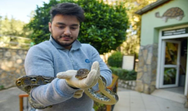 Koruma altındaki ’egzotik’ hayvanlara ziyaretçi yoğunluğu