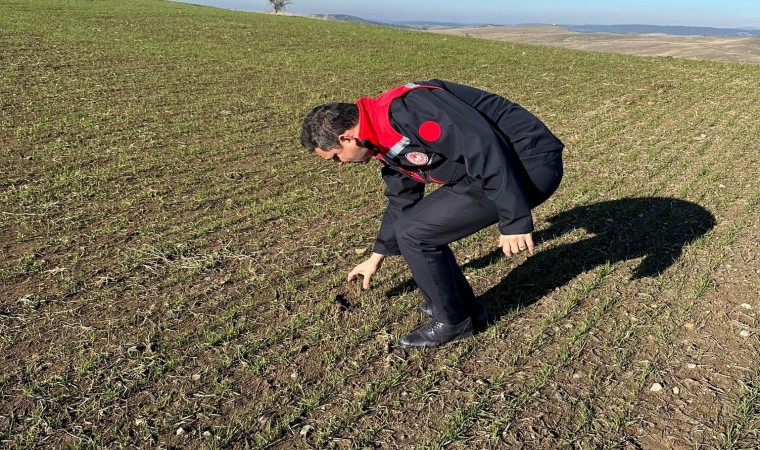 Kütahyada hububat üretim alanlarında arazi kontrolleri